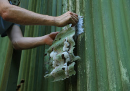 terra inkognita christian berens